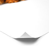 Zimt Fotodruck (Ecke)