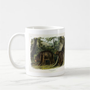 Zimtbär aus Audubons Quadrupeds Kaffeetasse