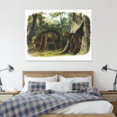 Zimtbär aus Audubons Quadrupeds Leinwanddruck (Insitu (Schlafzimmer))