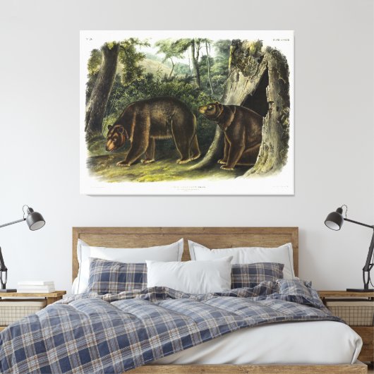 Zimtbär aus Audubons Quadrupeds Leinwanddruck (Insitu (Schlafzimmer))