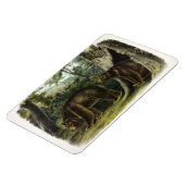 Zimtbär aus Audubons Quadrupeds Magnet (Linke Seite)