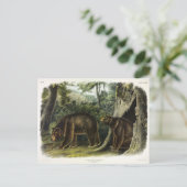 Zimtbär aus Audubons Quadrupeds Postkarte (Stehend Vorderseite)