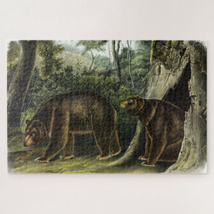 Zimtbär aus Audubons Quadrupeds Puzzle