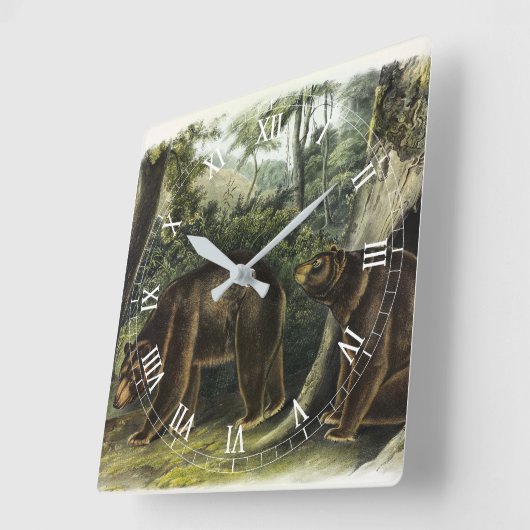 Zimtbär aus Audubons Quadrupeds Quadratische Wanduhr (Winkel)