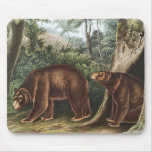 Zimtbär (Ursus Americanus var. Cinnamonum) Mousepad