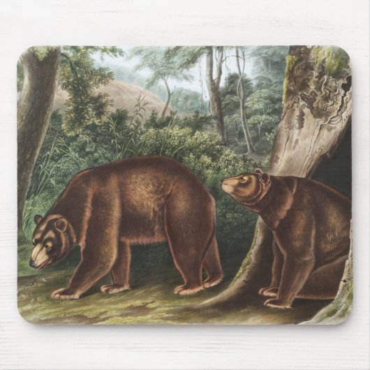Zimtbär (Ursus Americanus var. Cinnamonum) Mousepad (Vorne)