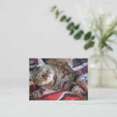 Zimtkatze aceo ATC Visitenkarte (Stehend Vorderseite)