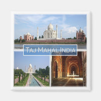 ZIN010 THE TAJ MAHAL, Indien, Asien, Kühlschrank