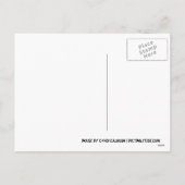 Zinn-Mann an der Weihnachtspostkarte Feiertagspostkarte (Rückseite)