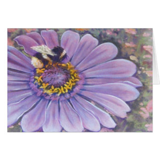 Zinnia