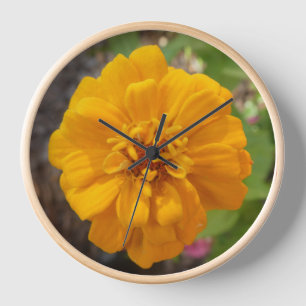 Zinnia Blume Foto Wall Clock Uhr