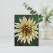 Zinnia Blume Postkarte (Stehend Vorderseite)
