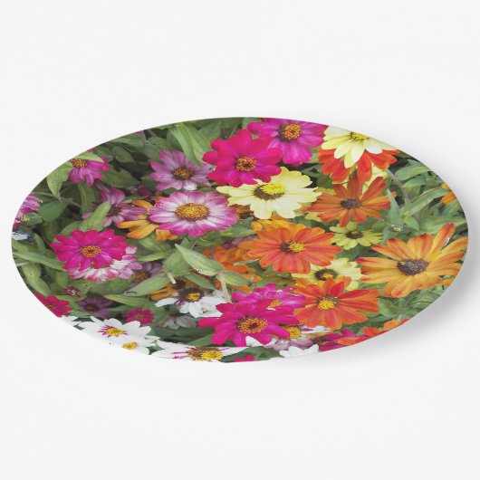 Zinnia Blumengarten Pappteller (Schrägansicht)