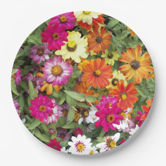 Zinnia Blumengarten Pappteller (Vorderseite)