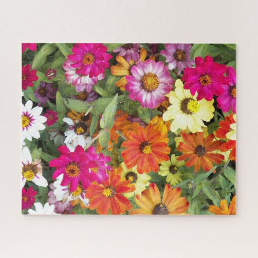 Zinnia Blumengarten Puzzle (Horizontal)