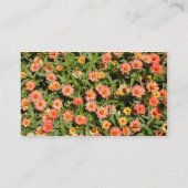 Zinnia Business Card Visitenkarte (Rückseite)