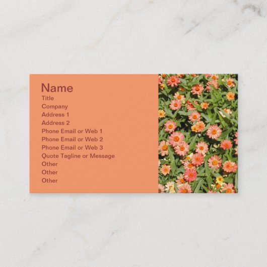 Zinnia Business Card Visitenkarte (Vorderseite)