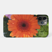Zinnia Case-Mate iPhone Hülle (Rückseite (Horizontal))