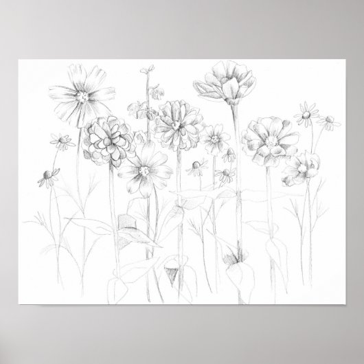 Zinnia Cosmos Blume Stift Zeichnend botanisch Poster (Vorne)