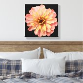 Zinnia Floral Blume Naturfotografie auf Schwarz Leinwanddruck (Insitu (Schlafzimmer))