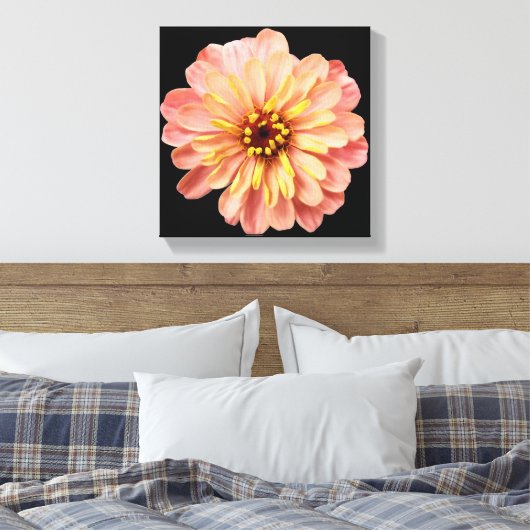 Zinnia Floral Blume Naturfotografie auf Schwarz Leinwanddruck (Insitu (Schlafzimmer))