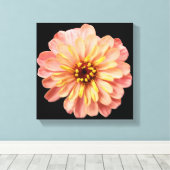 Zinnia Floral Blume Naturfotografie auf Schwarz Leinwanddruck (Insitu (Holzboden))