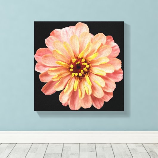Zinnia Floral Blume Naturfotografie auf Schwarz Leinwanddruck (Insitu (Holzboden))