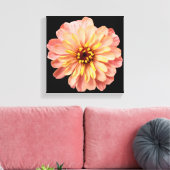 Zinnia Floral Blume Naturfotografie auf Schwarz Leinwanddruck (Insitu (Wohnzimmer))