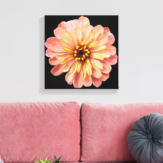 Zinnia Floral Blume Naturfotografie auf Schwarz Leinwanddruck (Insitu (Wohnzimmer))