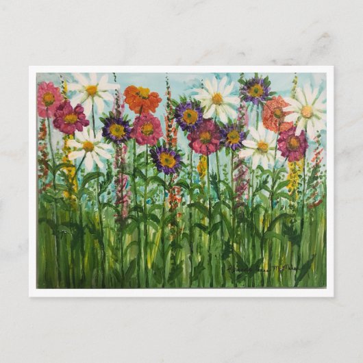 Zinnia, Gänseblümchen, Aster Blumen Postkarte (Vorderseite)