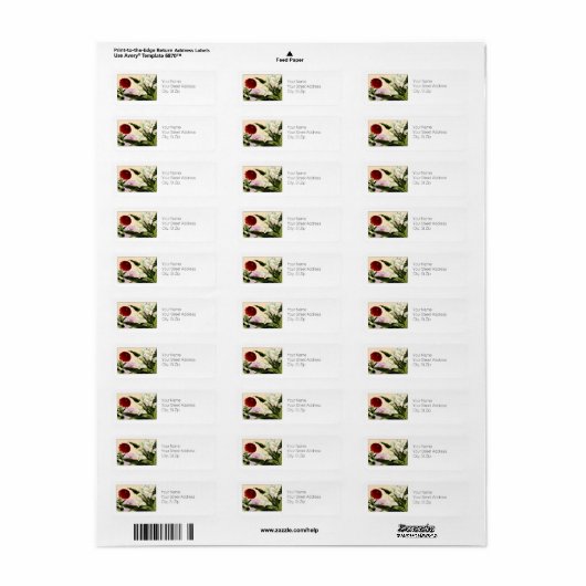 Zinnia & Ginger, botanische Rücksendeadresse (Vorne)