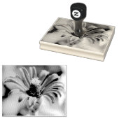 Zinnia Gummistempel (Stempel)