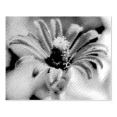 Zinnia Gummistempel (Prägung)