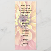 Zinnia in Orange-Schatten Programm (Rückseite)