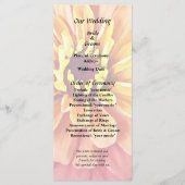 Zinnia in Orange-Schatten Programm (Vorderseite)