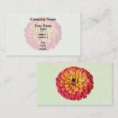 Zinnia in Orange-Schatten Visitenkarte (Vorne/Hinten)