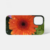 Zinnia iPhone Hülle (Rückseite (Horizontal))