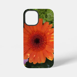 Zinnia iPhone 12 Mini Hülle