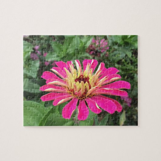 ZINNIA - Lebendes Rosa und Creme - Puzzle (Horizontal)
