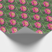 ZINNIA - Lebhaftes Rosa und Creme - ECHO Print. Geschenkpapier (Ecke)
