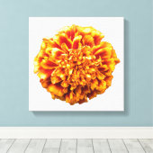 Zinnia Leinwanddruck (Insitu (Holzboden))