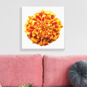 Zinnia Leinwanddruck (Insitu (Wohnzimmer))