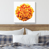 Zinnia Leinwanddruck (Insitu (Schlafzimmer))