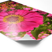 Zinnia mit Isaiah 61:11 Fotodruck (Ecke)