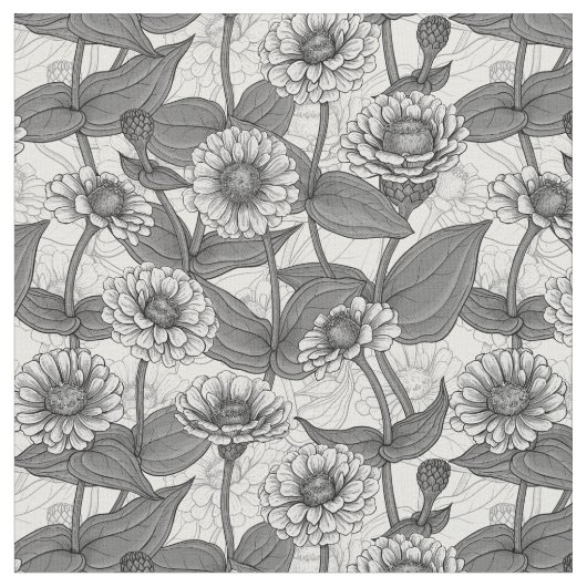 Zinnia, Monochom auf weiß Stoff (Nahaufnahme)