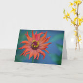 Zinnia Note Card Karte (Gelbe Blume)