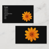 Zinnia-Orangen-Überfluss Visitenkarte (Vorne/Hinten)