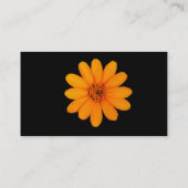 Zinnia-Orangen-Überfluss Visitenkarte (Rückseite)