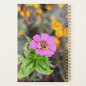 Zinnia Planer - Originalfotografie (Rückseite)
