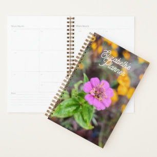 Zinnia Planer - Originalfotografie